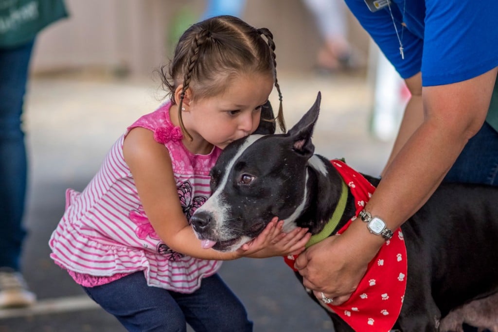 Hawaiian Humane Society Dog Kiss 1200