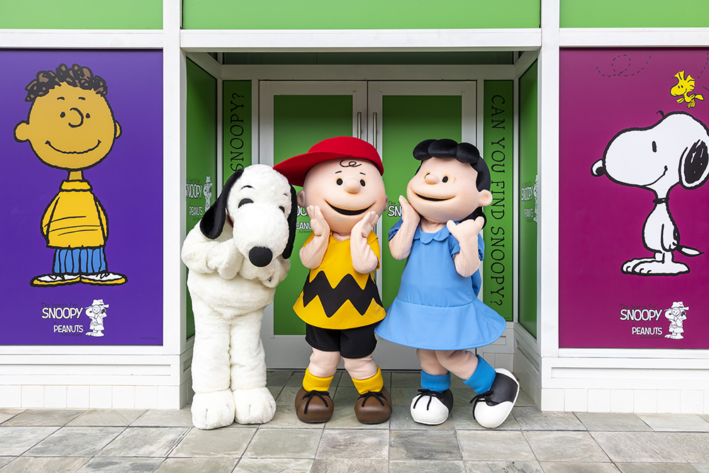 the-search-for-snoopy