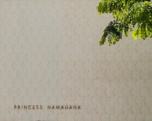 Hn2111 Ay Signs Princess Namahana 3710
