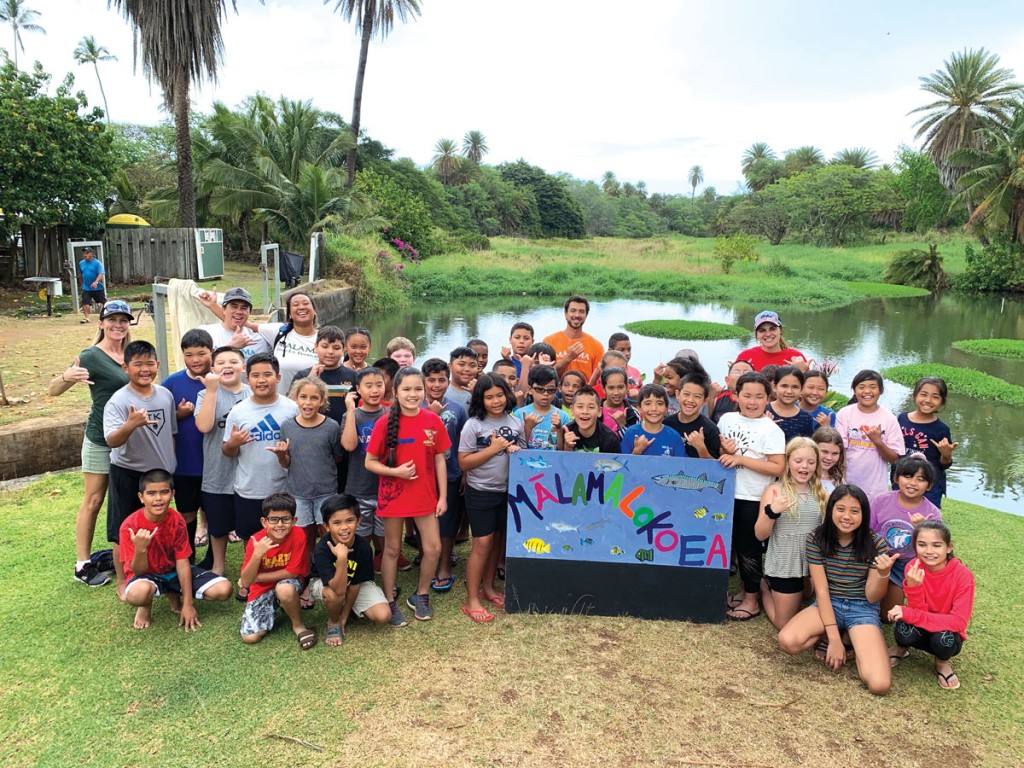 The Ultimate 2020 Guide 50 Ways to Volunteer in Hawai‘i