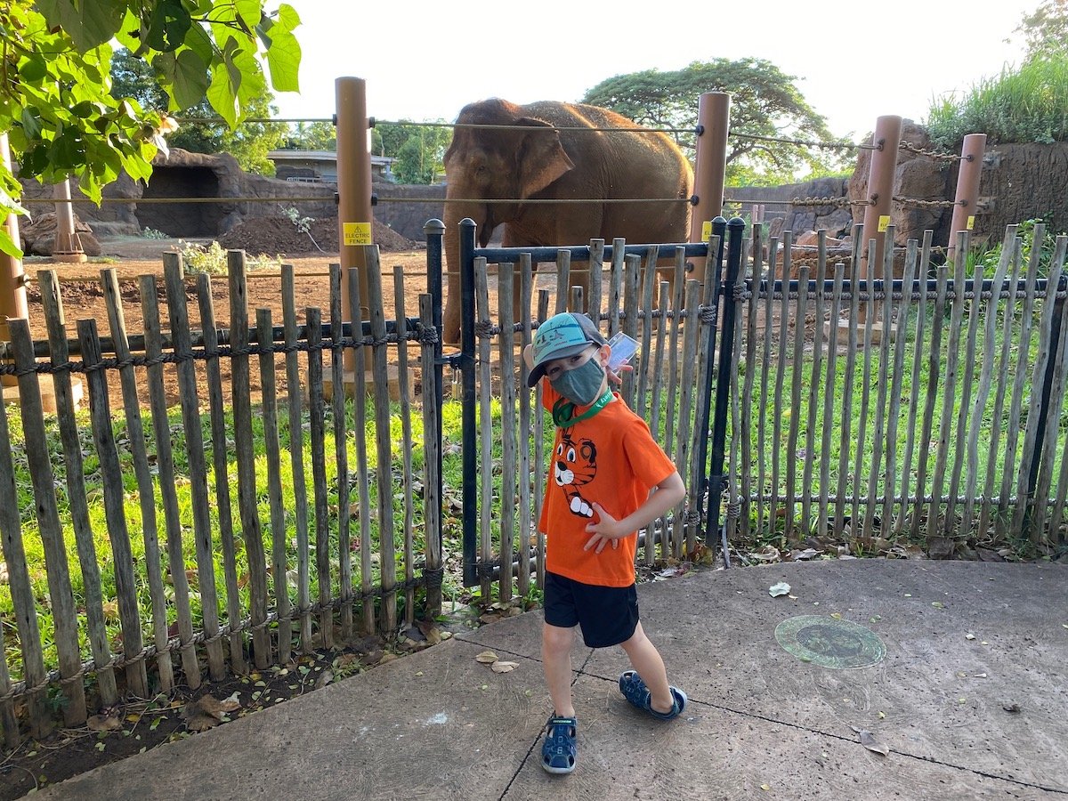 honolulu zoo twilight tour