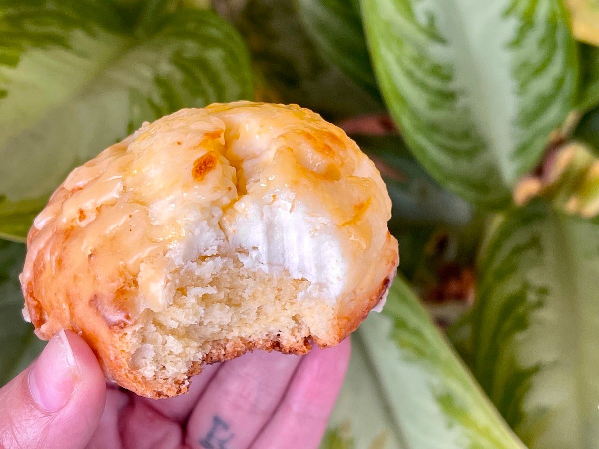 Bits & Bites Serves Up Superior Cream Cheese Scones in Kailua