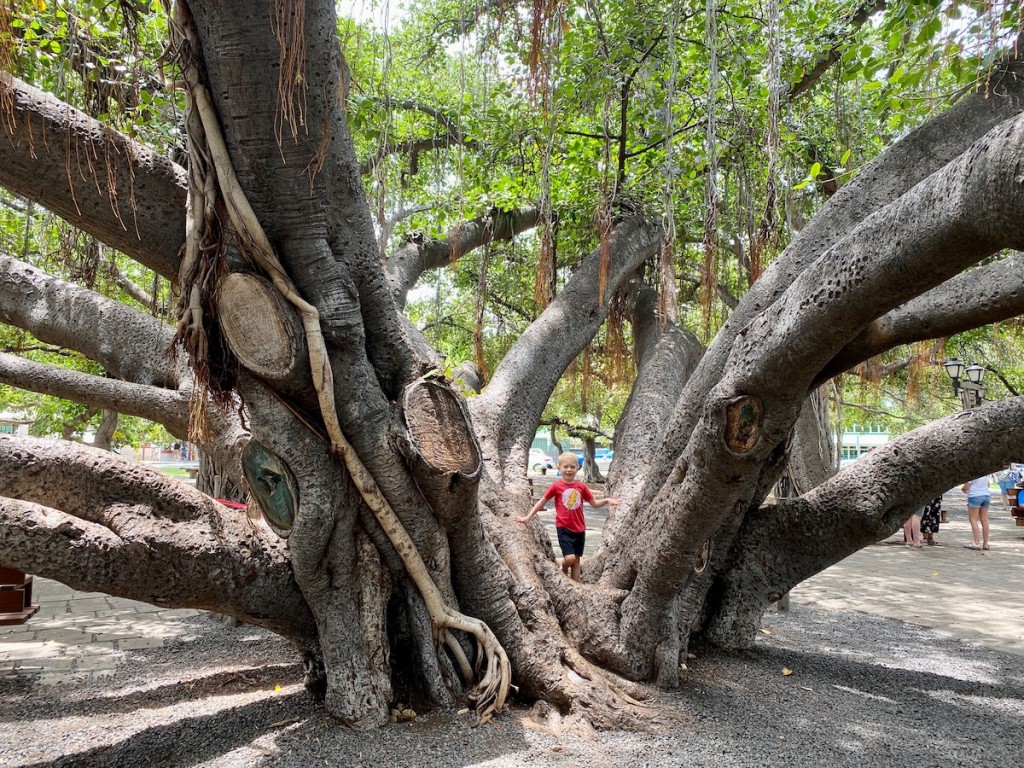 HONOLULU Family Travel Guide to Spending 4 Days on Maui with Kids