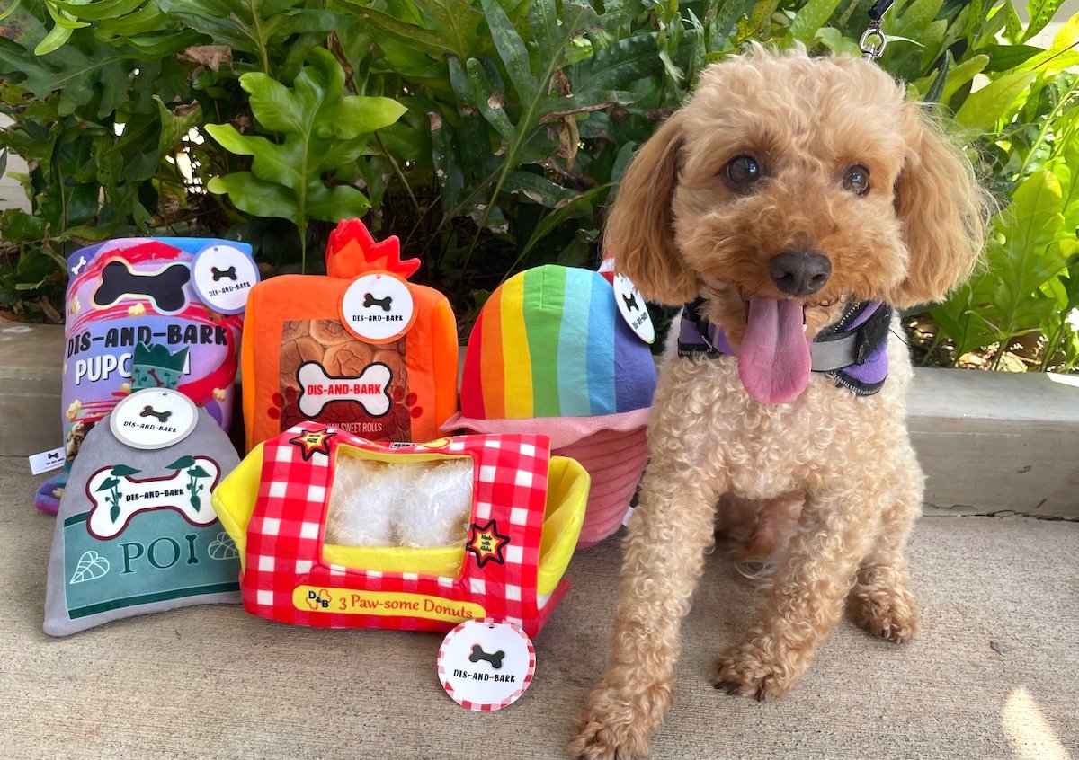 Shave Ice, Poi & Other Hawai'i Foods Are Now Dis-and-Bark Dog Toys