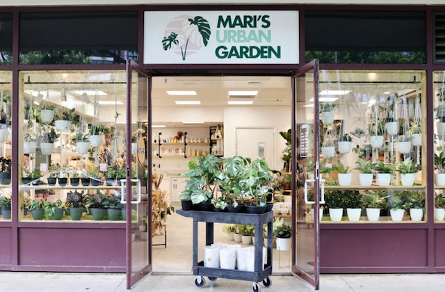 Mari's Garden