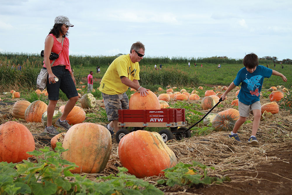 It’s the Great Pumpkin Lineup of Events