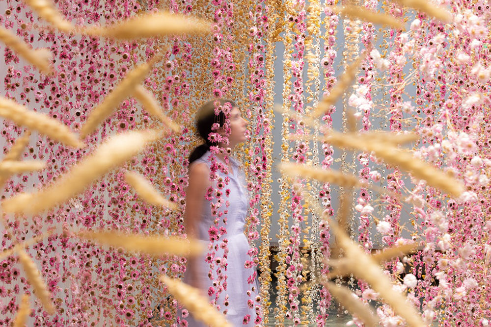 Must See: “Awakening” Flower Exhibit at Honolulu Museum of Art