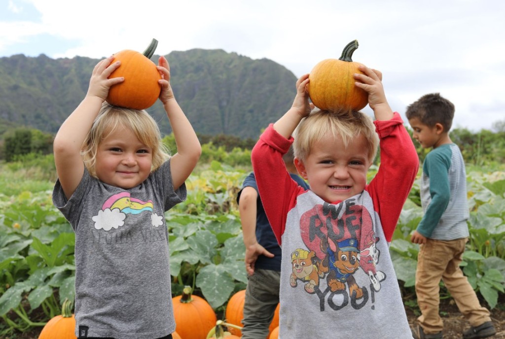 Waimanalo Country Farms