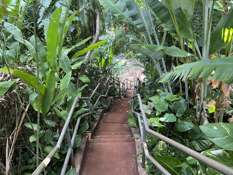 A Must for Your ToDo List Wahiawā Botanical Garden