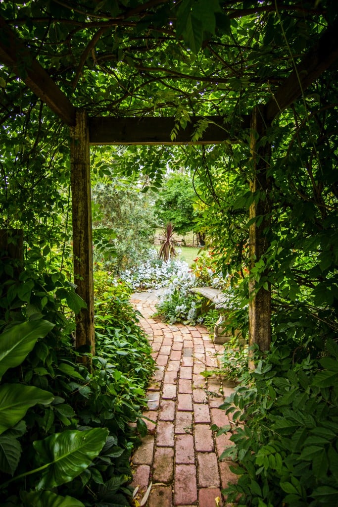 Tim Cooper Secret Garden