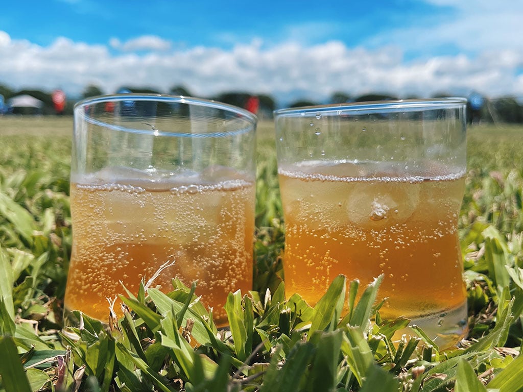 Ginger ale, Ingredients & Definition