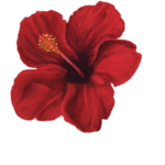 Hibiscus Art 3