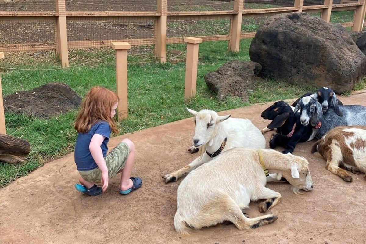 6 Places Where You Can Meet Baby Animals on O‘ahu