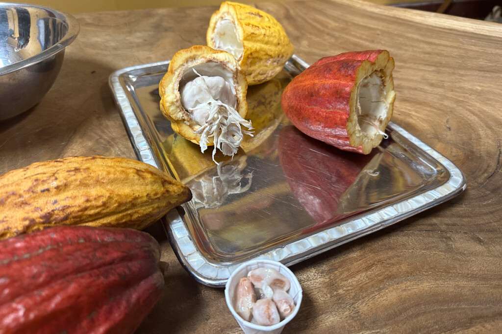 Lonohana Fresh Cacao Credit Sarah Burchard