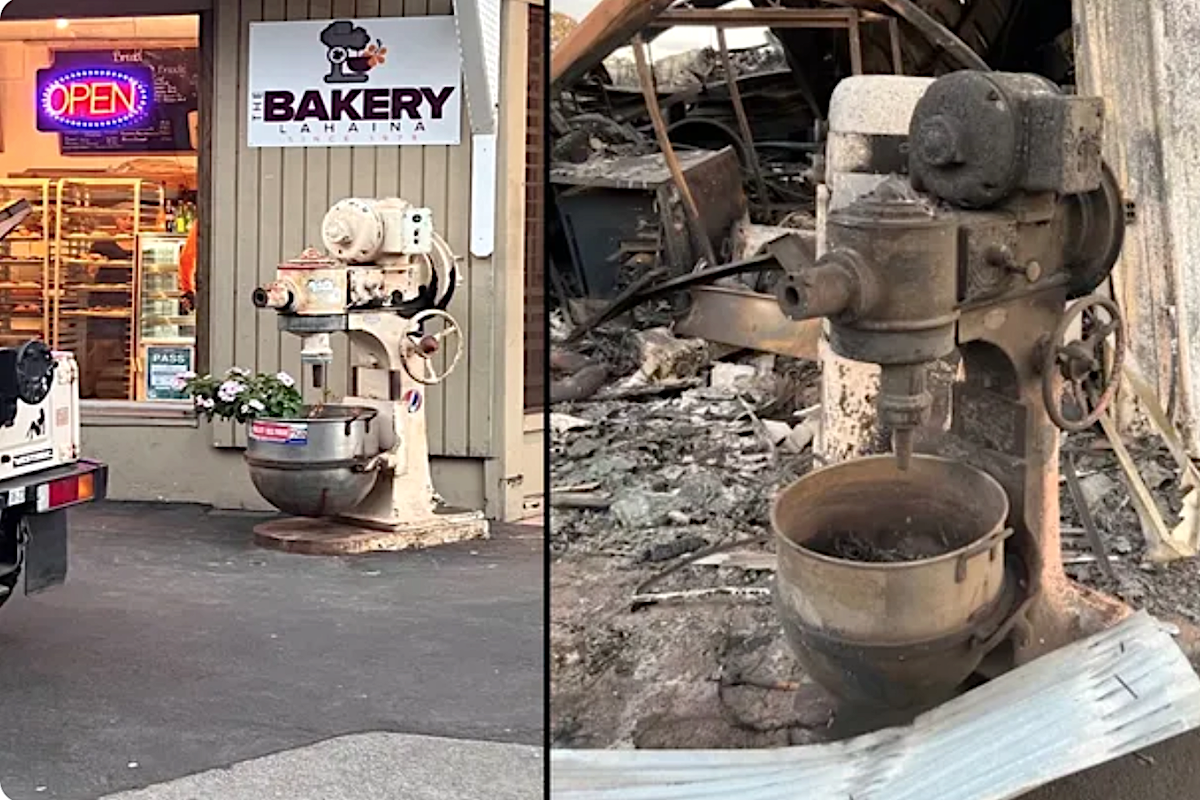 Bakery Lahaina Before And After Fire Pc Bakery Lahaina