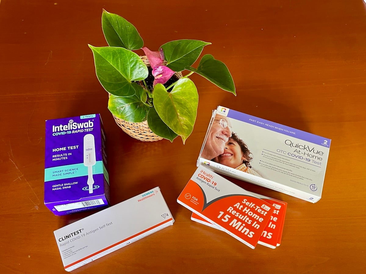 Order Free COVID-19 Test Kits by Mail as Case Numbers Rise - Vimarsana News