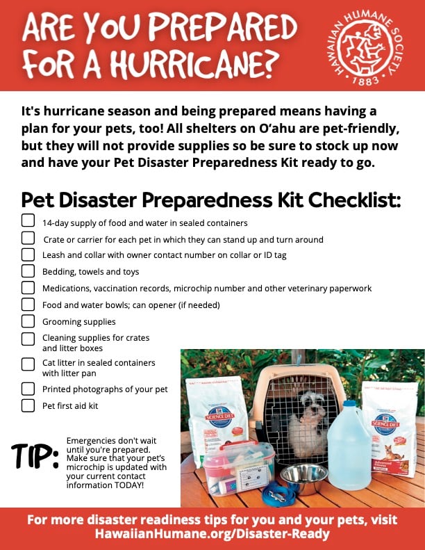 Ensuring the Safety of Our Pets: The Necessity of Disaster Preparedness