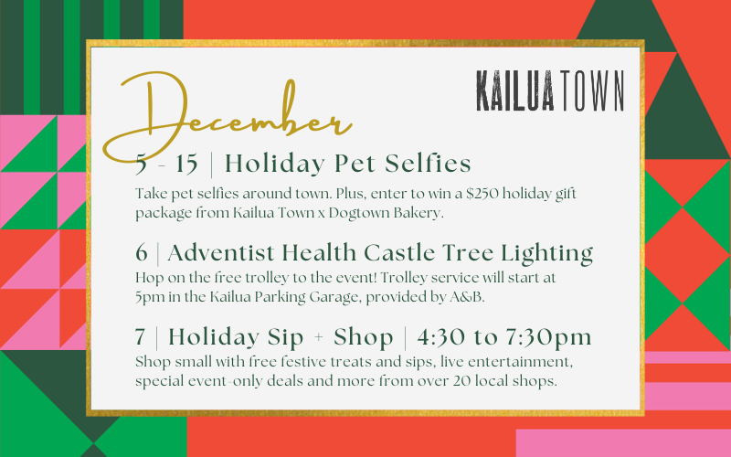 Kailua Town Holidays