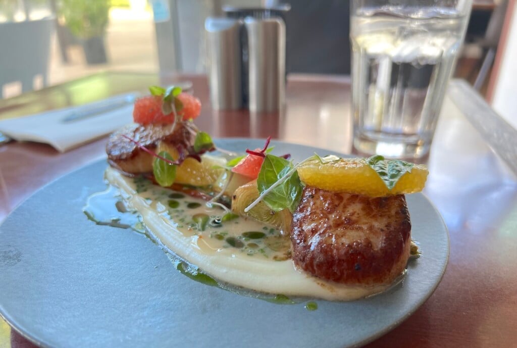 grilled scallops on a plate with citrus and garnishes