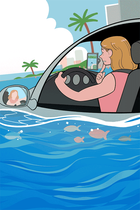 SourPoi_Illustration_4-GPS2 Sourpoi Illustration 4 Gps2