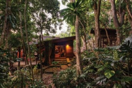 Green Living Hn2405 Ay Aaron Ackerman 284