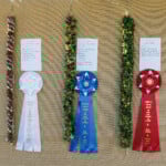 row of hanging lei with prize ribbons