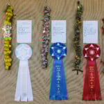 row of hanging lei with prize ribbons