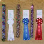 row of hanging lei with prize ribbons