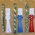 row of hanging lei and prize ribbons