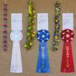 row of hanging lei with prize ribbons