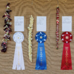 row of hanging lei with prize ribbons