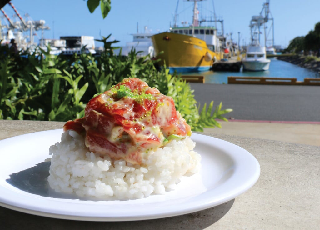 fresh poke atop white rice with fishing boats in background