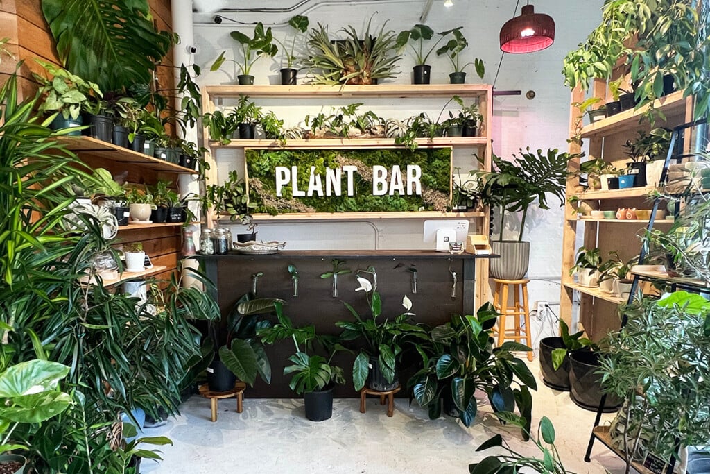 interior of plant shop