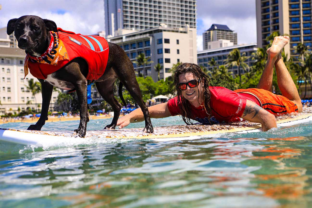 The Raising Canes Going To The Dogs Surfur Competition
