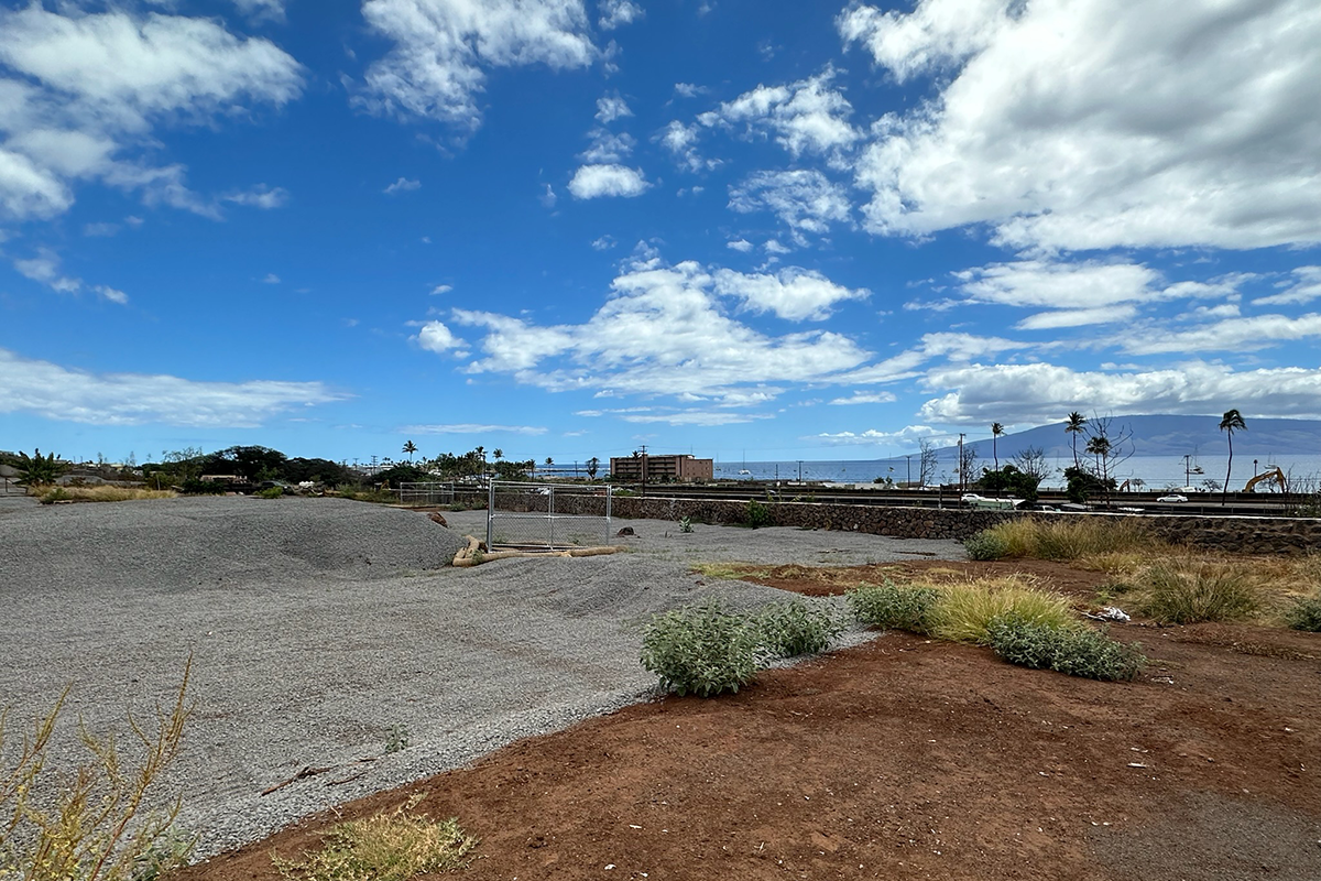 The Alio Street Property July 2024