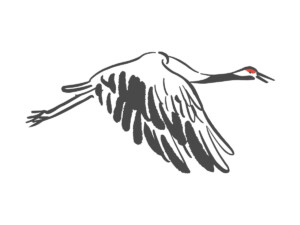 Crane-1 Crane 1