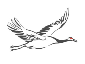 Crane-2 Crane 2