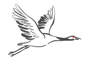 Crane-3 Crane 3