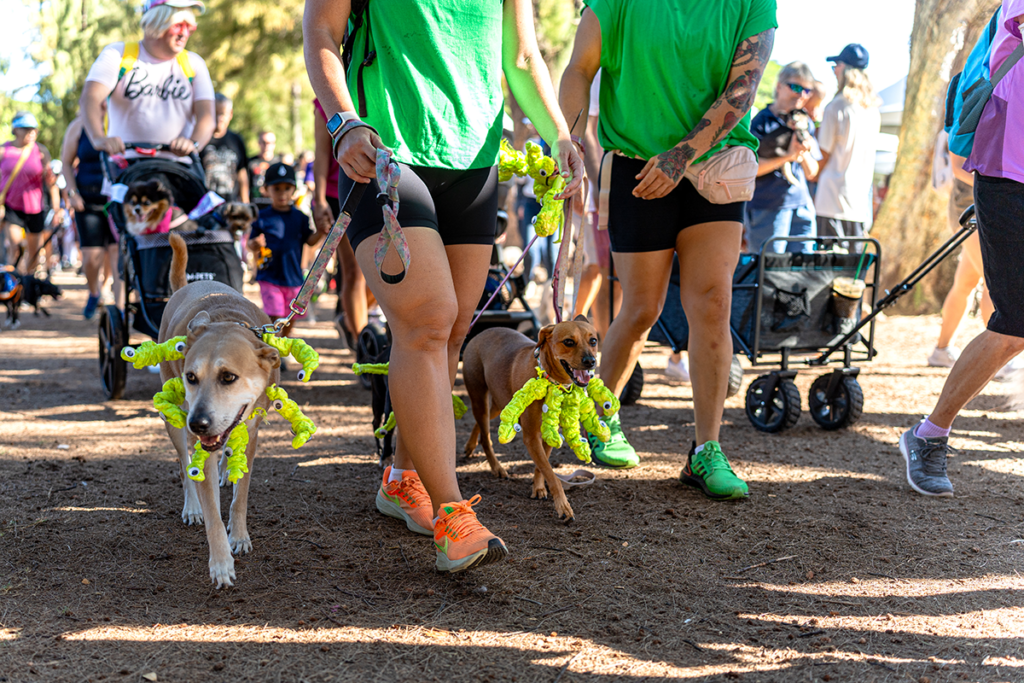 2023 Petwalk Pc Paws For Portraits Llc