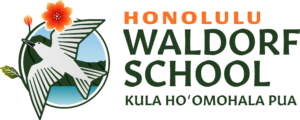 Hws Main Logo Horizontal 12x 8