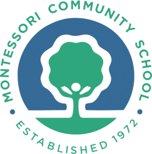 Mcs Logo Tsp 1200dpi Large