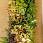 Hn2505 Ay May Day Lei Contest 8768