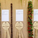 Hn2505 Ay May Day Lei Contest 8700