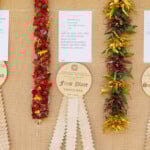 Hn2505 Ay May Day Lei Contest 8671