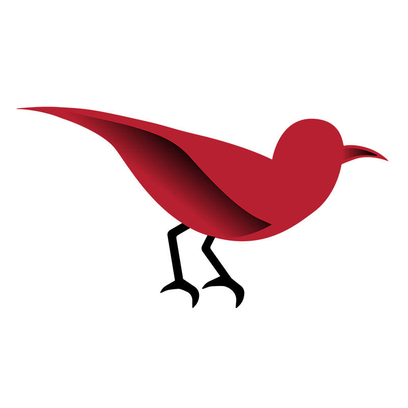 Overstory logo Overstory Logo
