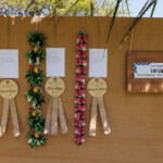 Hn2505 Ay May Day Lei Contest 8848