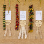 Hn2505 Ay May Day Lei Contest 8672