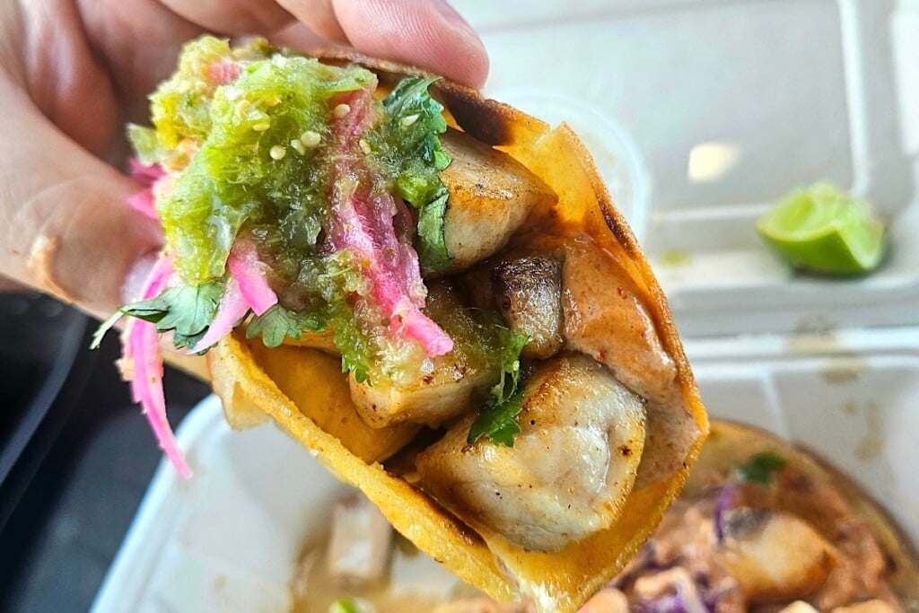 closeup of a fish taco