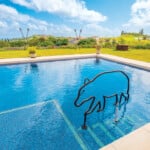 Hhr2205 Ay Pacific Pool Spa 5502 Copy