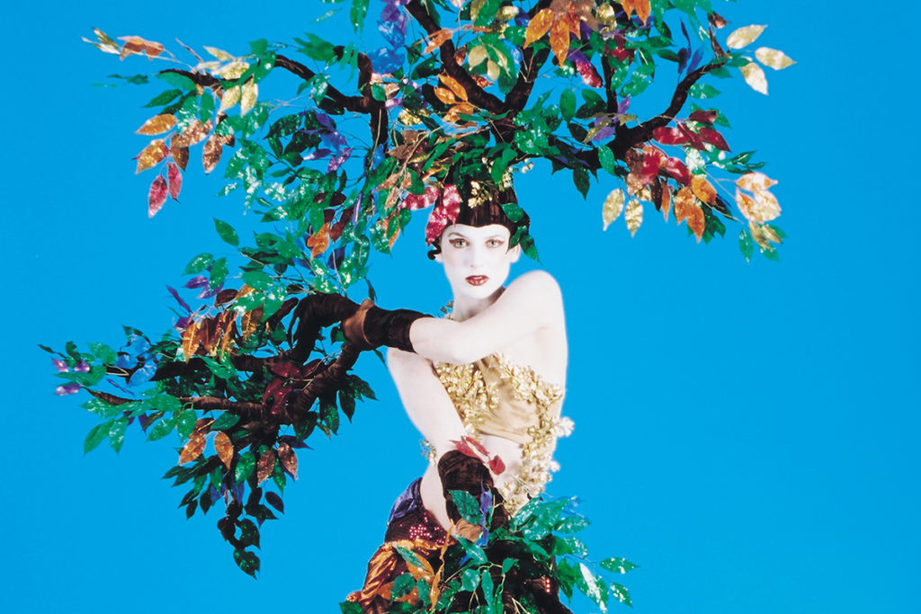 Tree Goddess Iona Contemporary Dance Theatre Crop